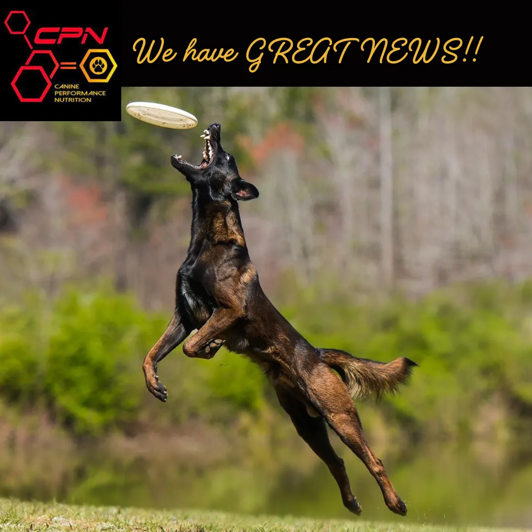 Canine Performance Nutrition Vertex