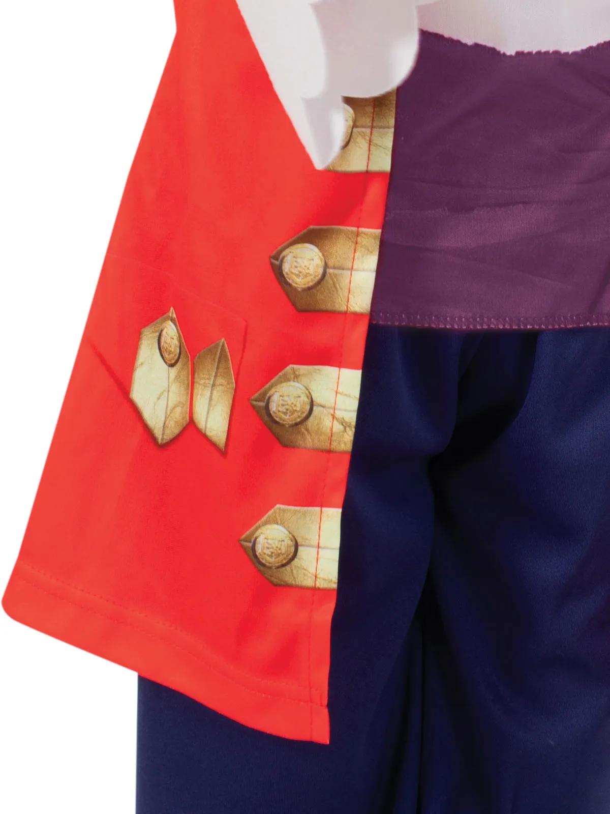CAPTAIN FEATHERSWORD DELUXE COSTUME, CHILD