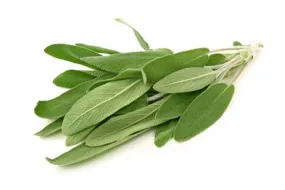 Sage Spanish Essential Oil